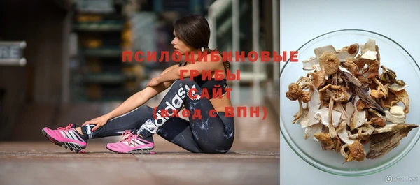 гашик Заволжье