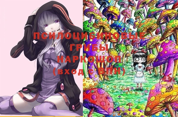 гашик Заволжье