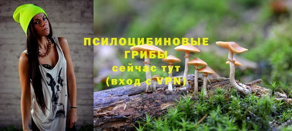 гашик Заволжье