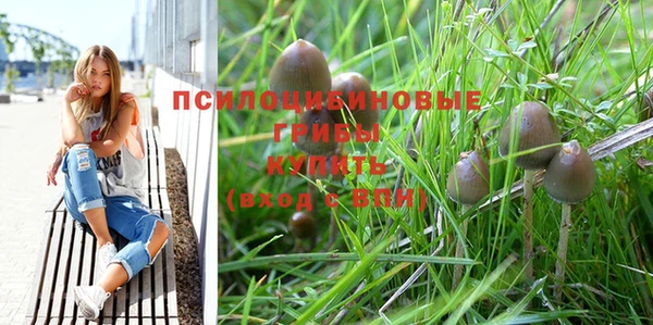 гашик Заволжье