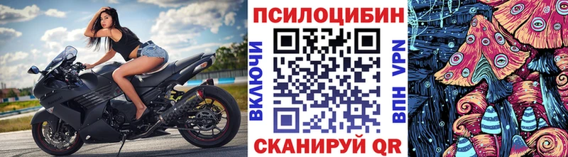 Купить  Изобильный  Псилоцибиновые грибы GOLDEN TEACHER 